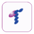 Tsukaki 